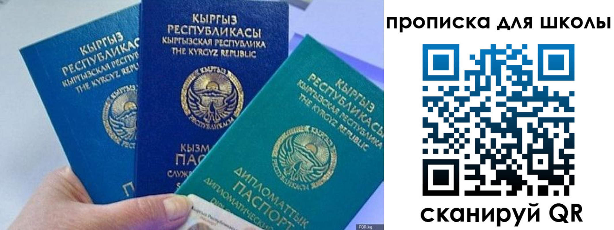 прописка регистрация в Соколе